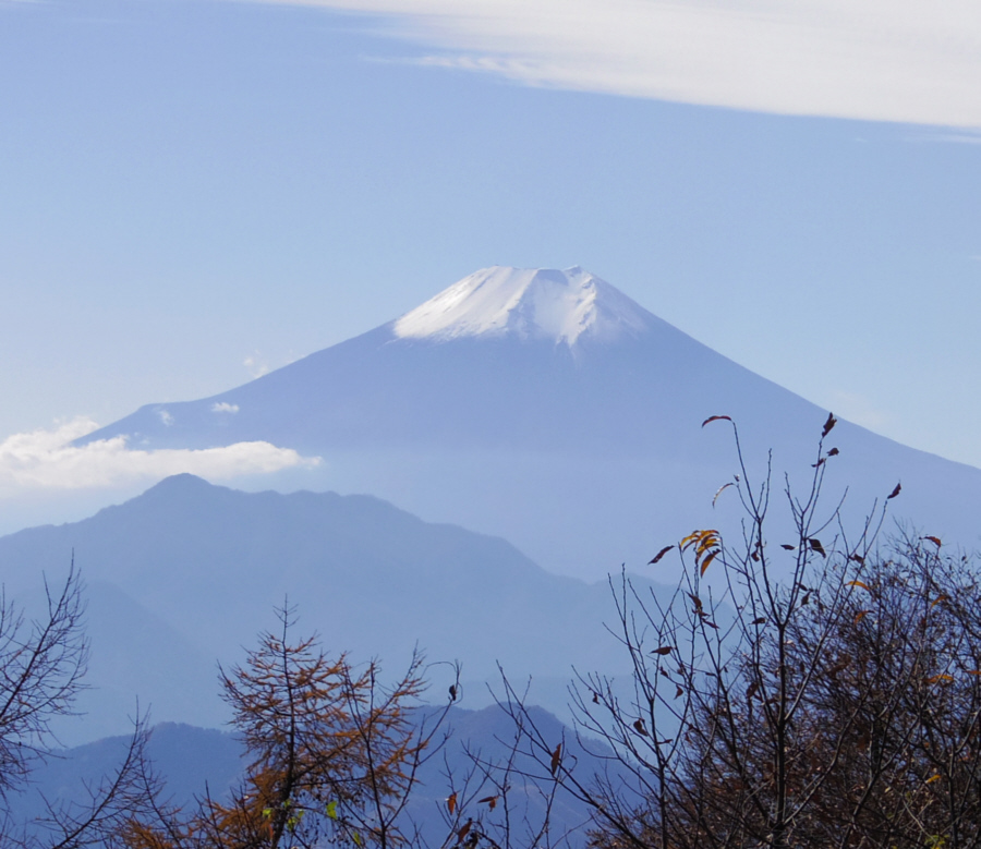 ��R�R���L�ꂩ��̕x�m�R