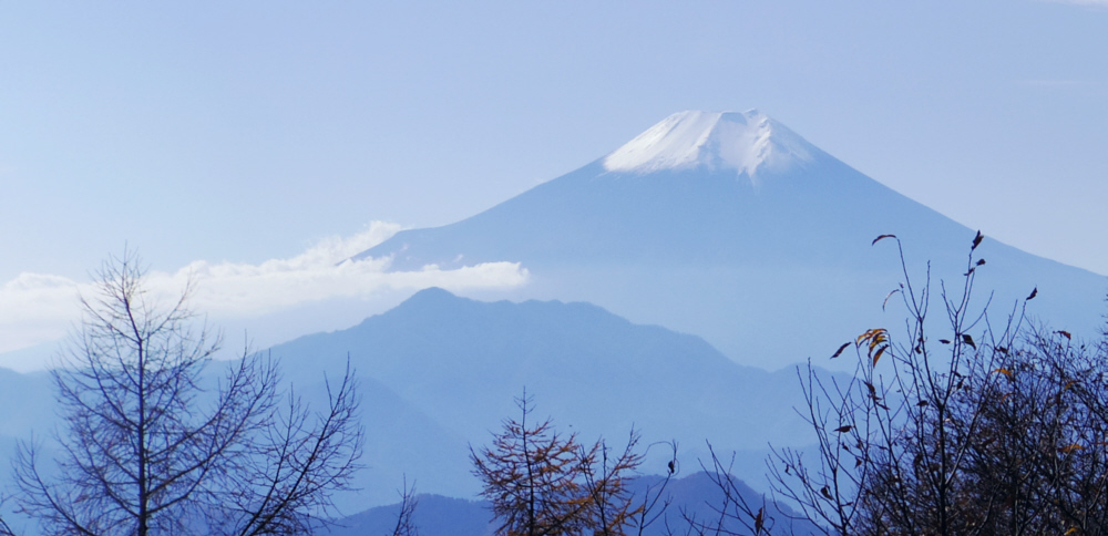 ��R�R���L�ꂩ��̕x�m�R