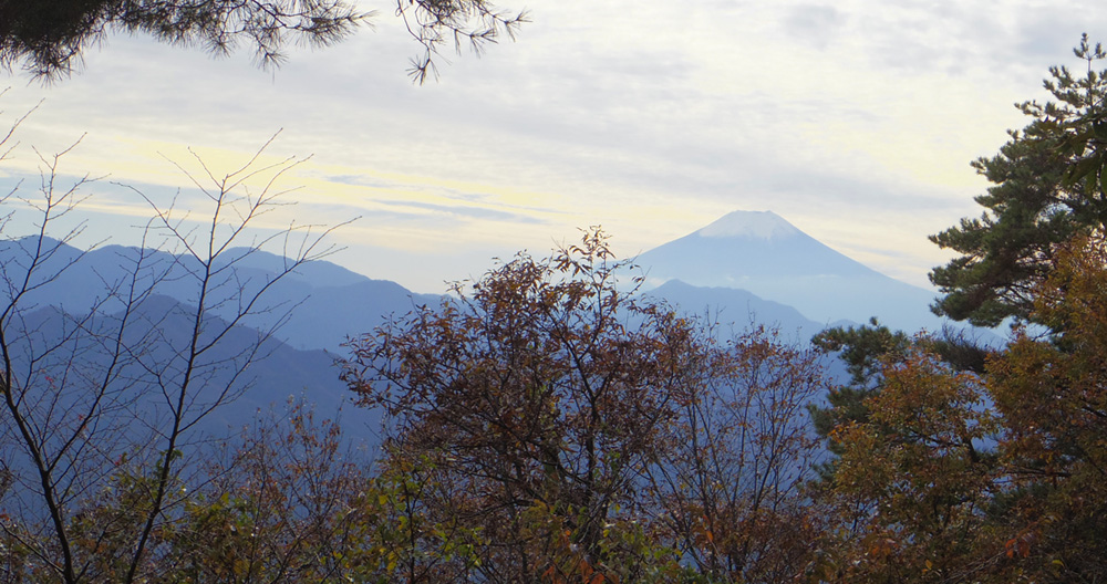 晩秋の黄色に染まる空にシルエット富士