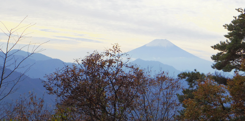 ������E���ڊۂ���̕x�m�R