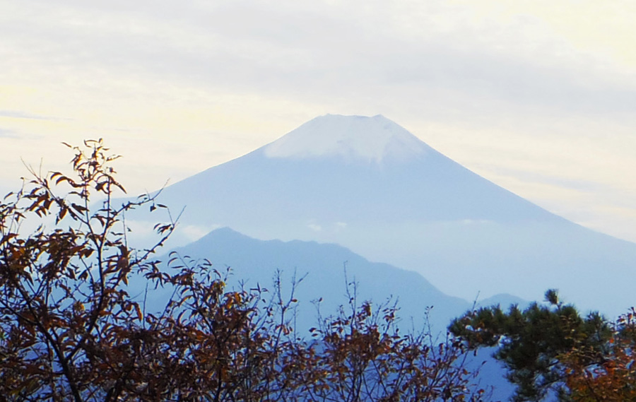 見晴台・犬目丸からの富士山