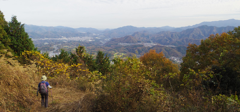 平地が甲州街道でその先に高尾山