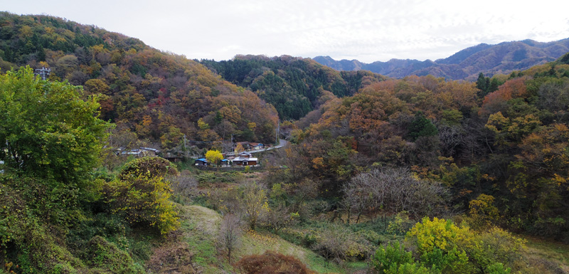 中央に見える道を進みます