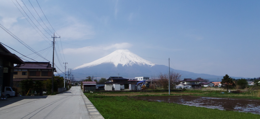 �E�쑺�̕x�m�R