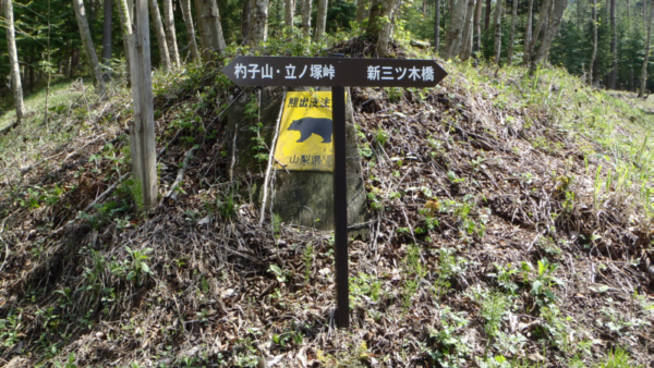 ���m�˂ւ̍s����\����