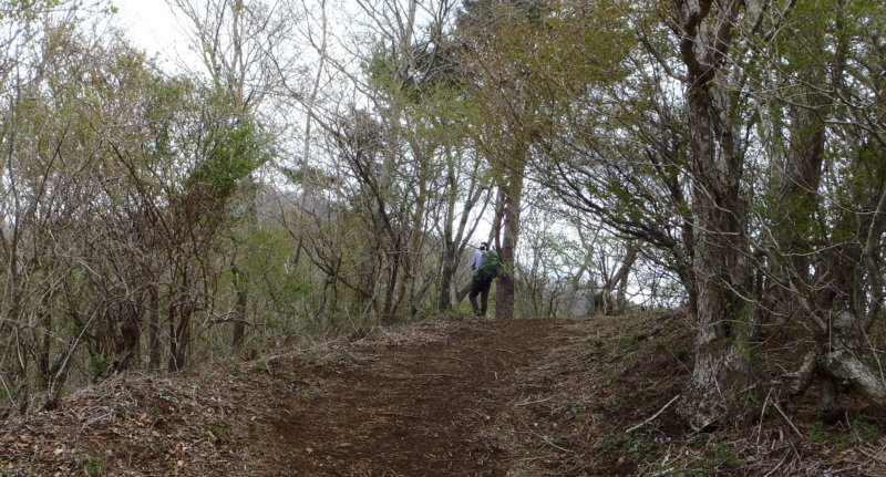 �q�m�_����ւ̓o�R��