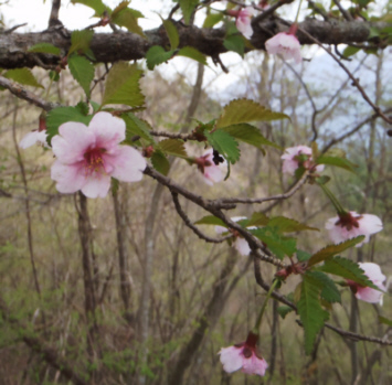 �}���U�N��