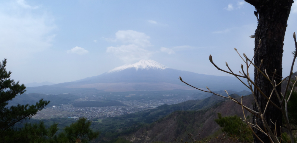 ���m�˓��`�q�m�_����ɂ���x�m�R�W�]�n�B