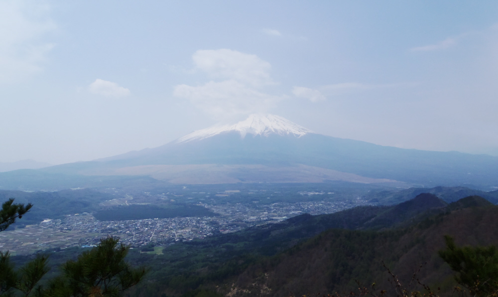 ���̖ؕx�m�R�W�]�䂩��̕x�m�R