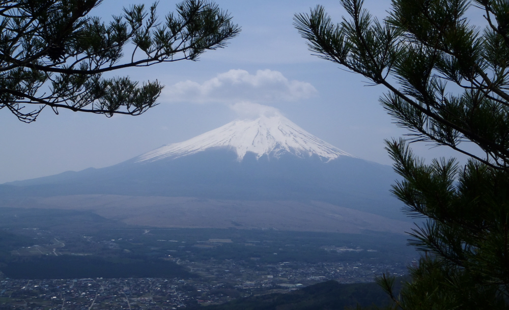 ���؂̊Ԃ���x�m�R