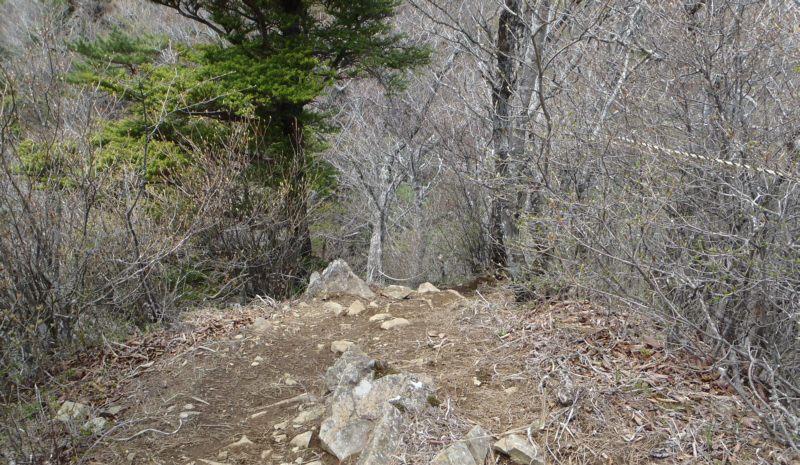 �q�m�_����֐i�݂܂�