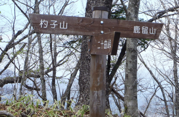 �q�m�_����