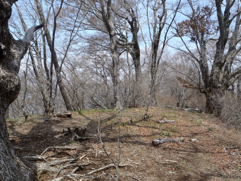 �����R�R��