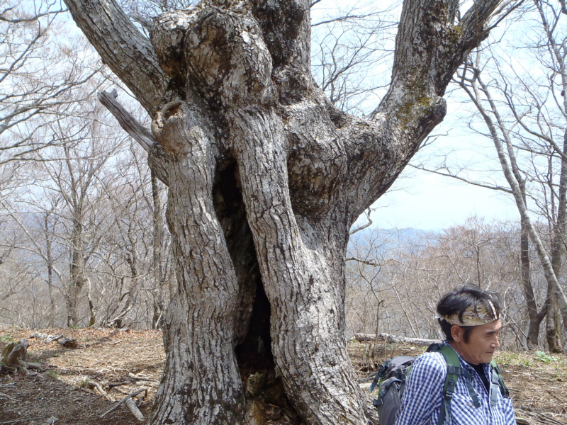 �����R�R���ň�x��