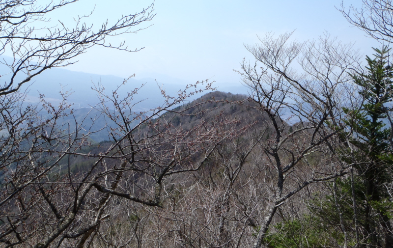 �ێq�R�֐i�݂܂�