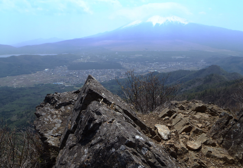 �q�m�_���򂩂炷����̕x�m�R�W�]�䂩��̕x�m�R