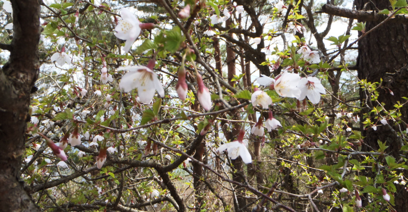 �}���U�N�������ς�