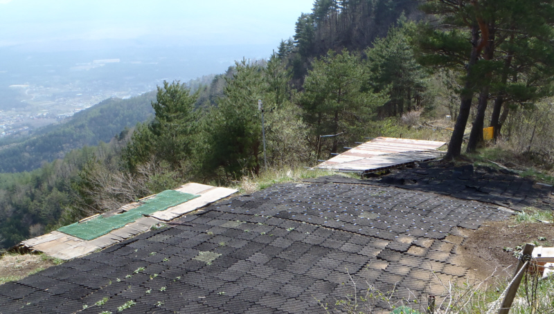 �n���O�O���C�_�[�̗�����