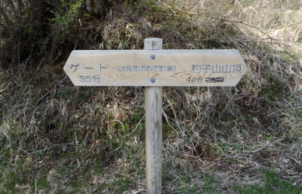 �傴�����̕���