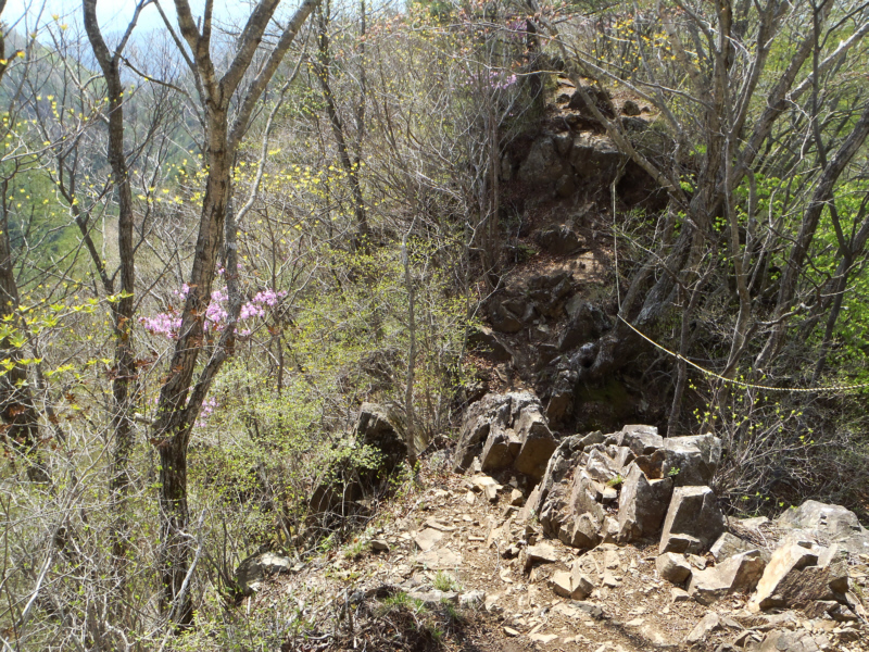 �傴�������獂���R