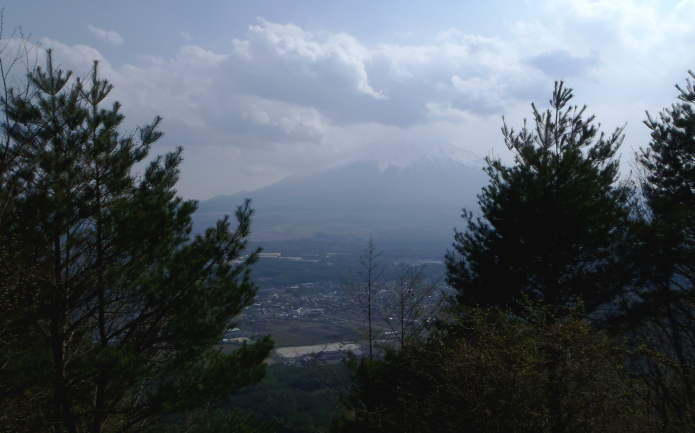 �����R�R���̎��؂̊Ԃ���x�m�R