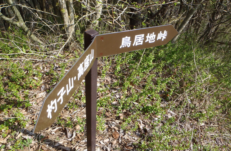 �����n���̍s����\����