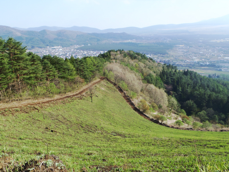 �����R�̃J���g�̌�