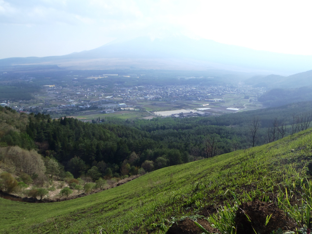 �����R�̃J���g�̌�����̕x�m�R