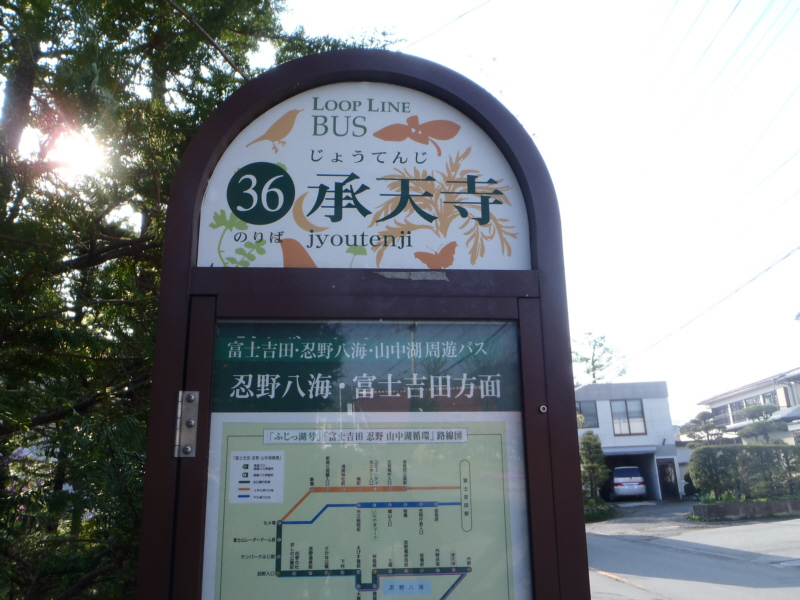 ���V���o�X��