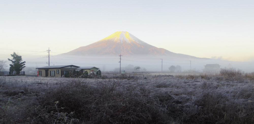 忍野村からの富士山。朝日があたるり黄金色になる。