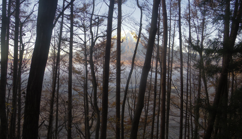 忍野村からの富士山
