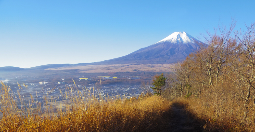 見えてきた富士山