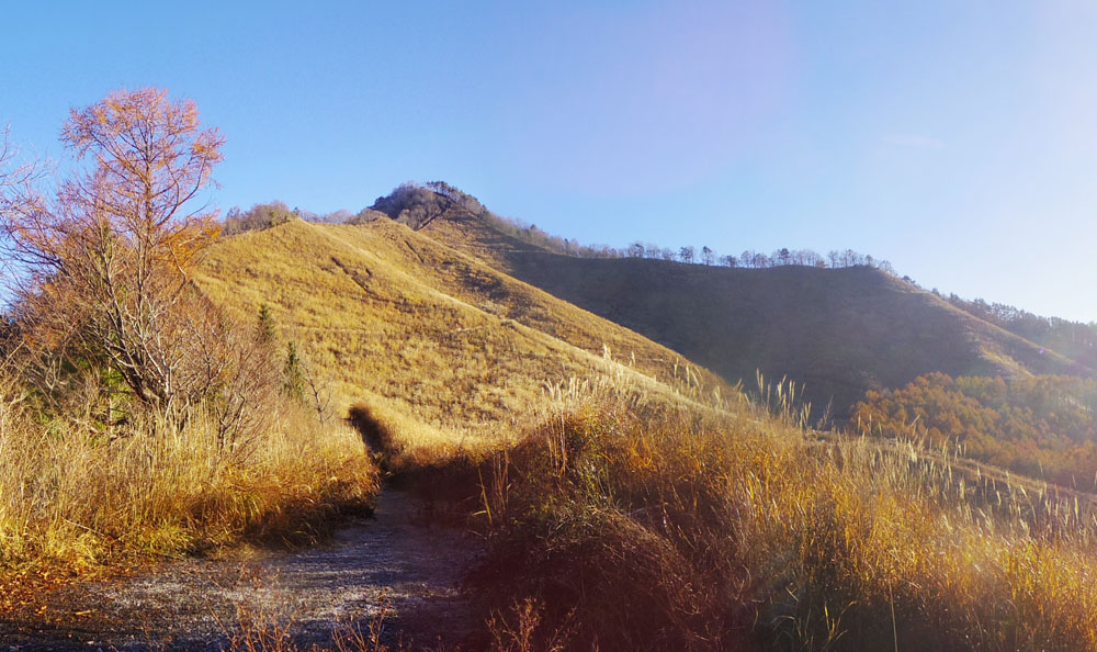 高座山のカヤト