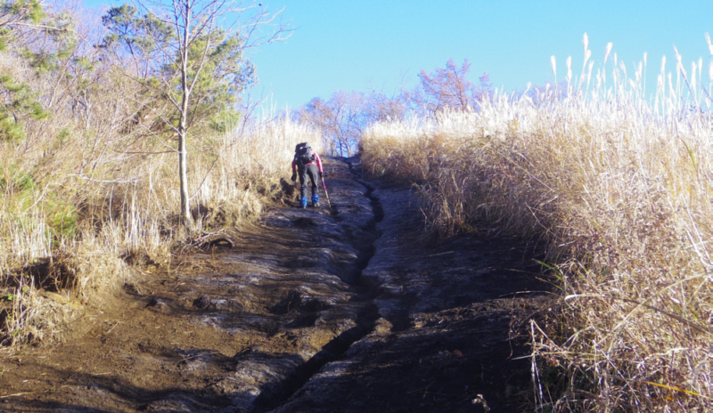 高座山の急坂を上る