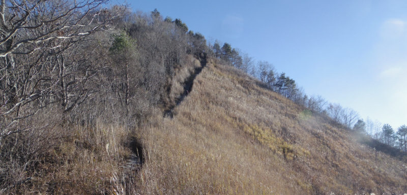 高座山最後の登り