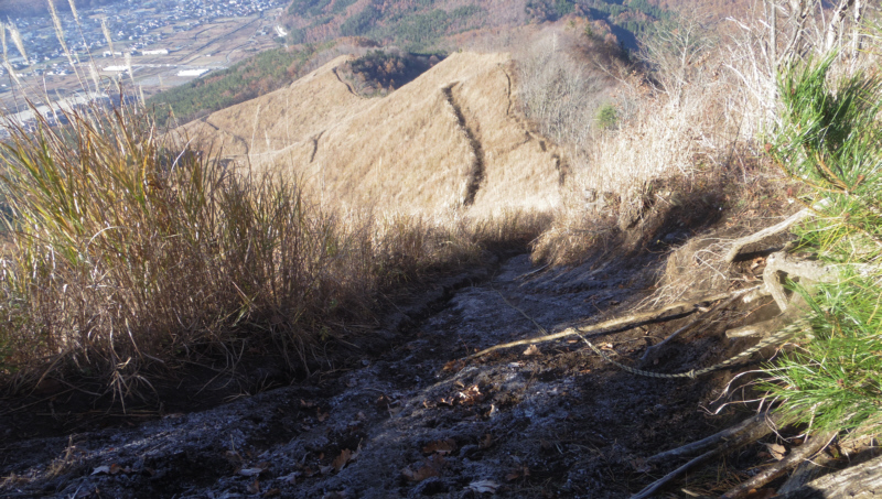 高座山頂上手前から登山道