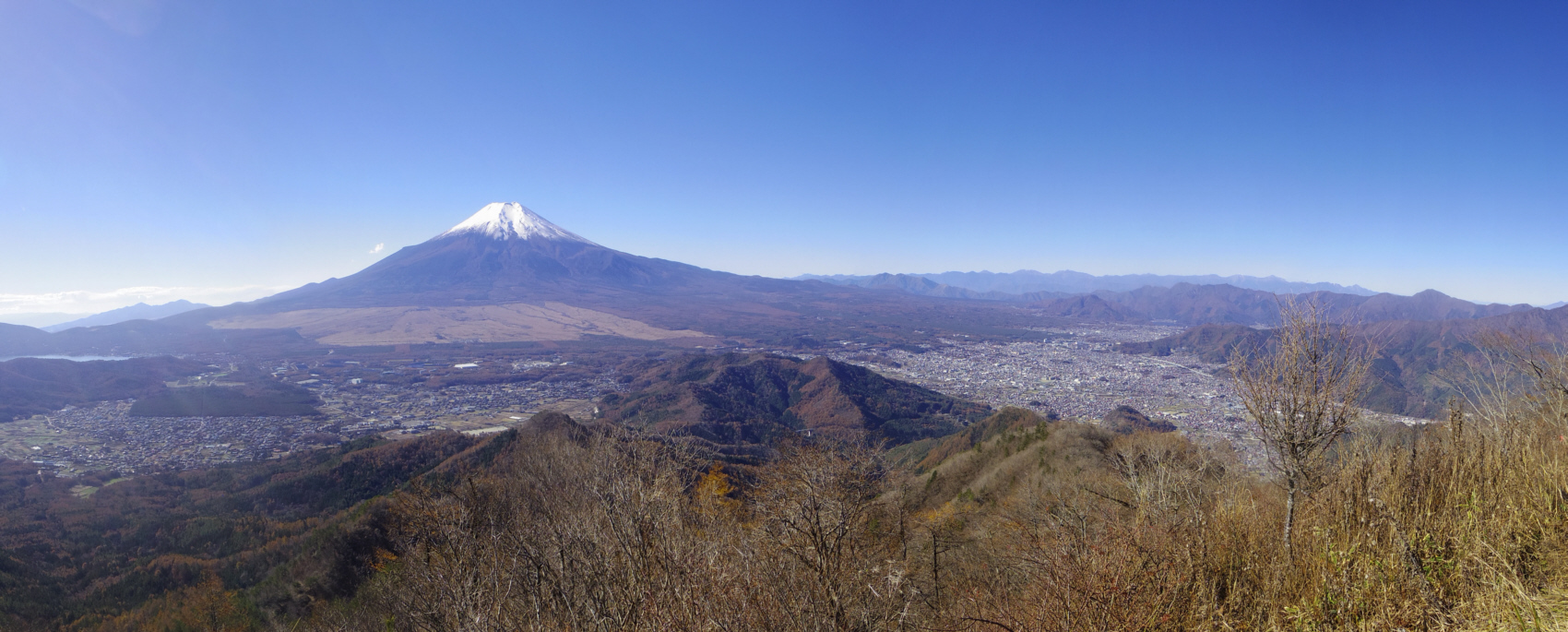 �ێq�R�R������̕x�m�R�@�x�m�R�������ɂ�����