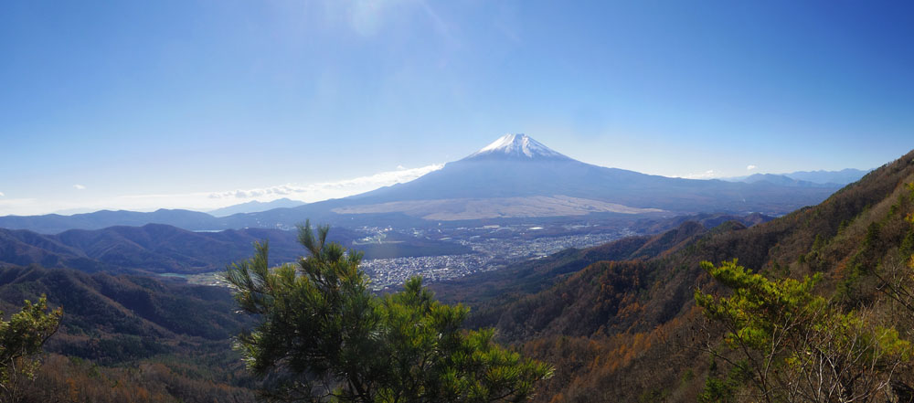 松の木のある富士山展望地からの富士山