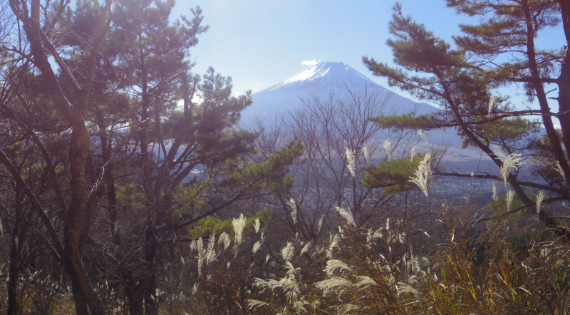 ススキと富士山