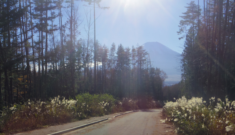 舗装道路を進む