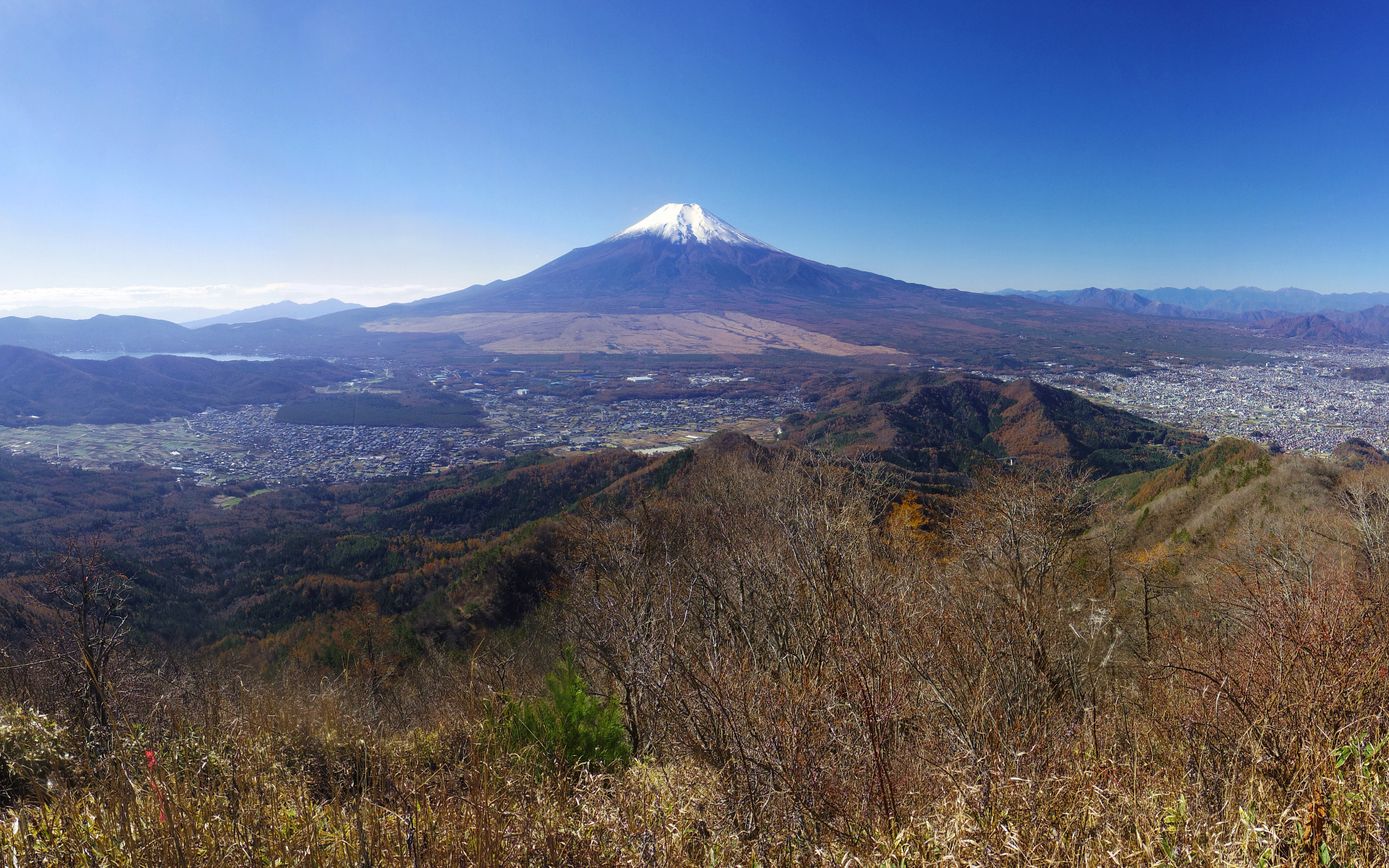 �ێq�R�R������̕x�m�R