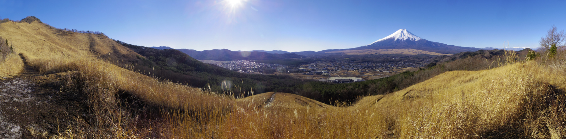 �����R��������̕x�m�R