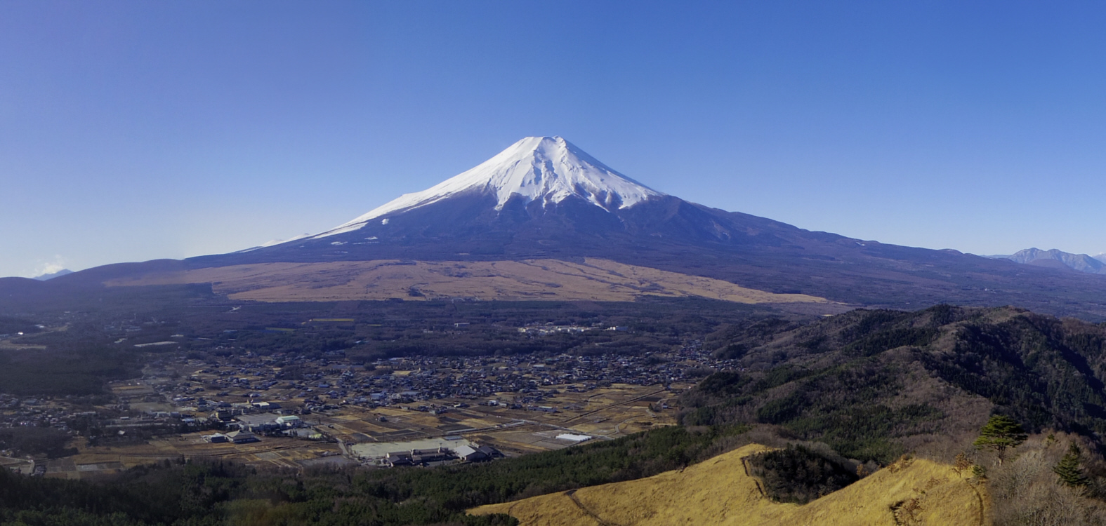 �����R��������̕x�m�R