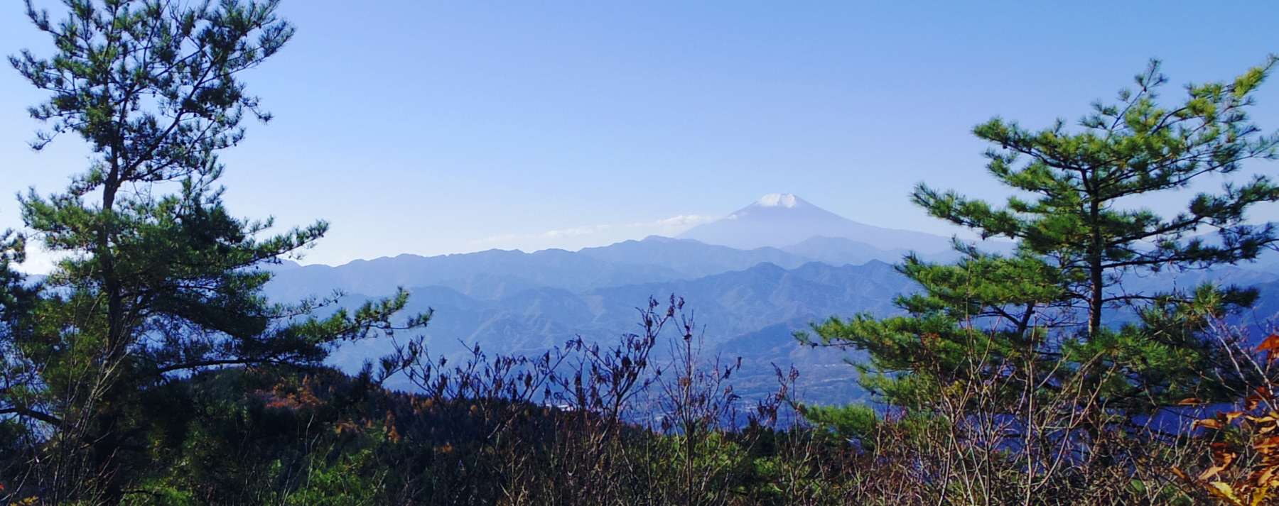 �����R����̕x�m�R�@�@