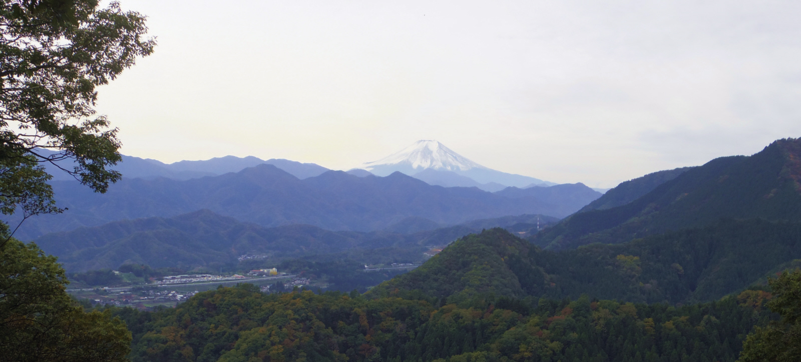 �R���V���R����̕x�m�R�@