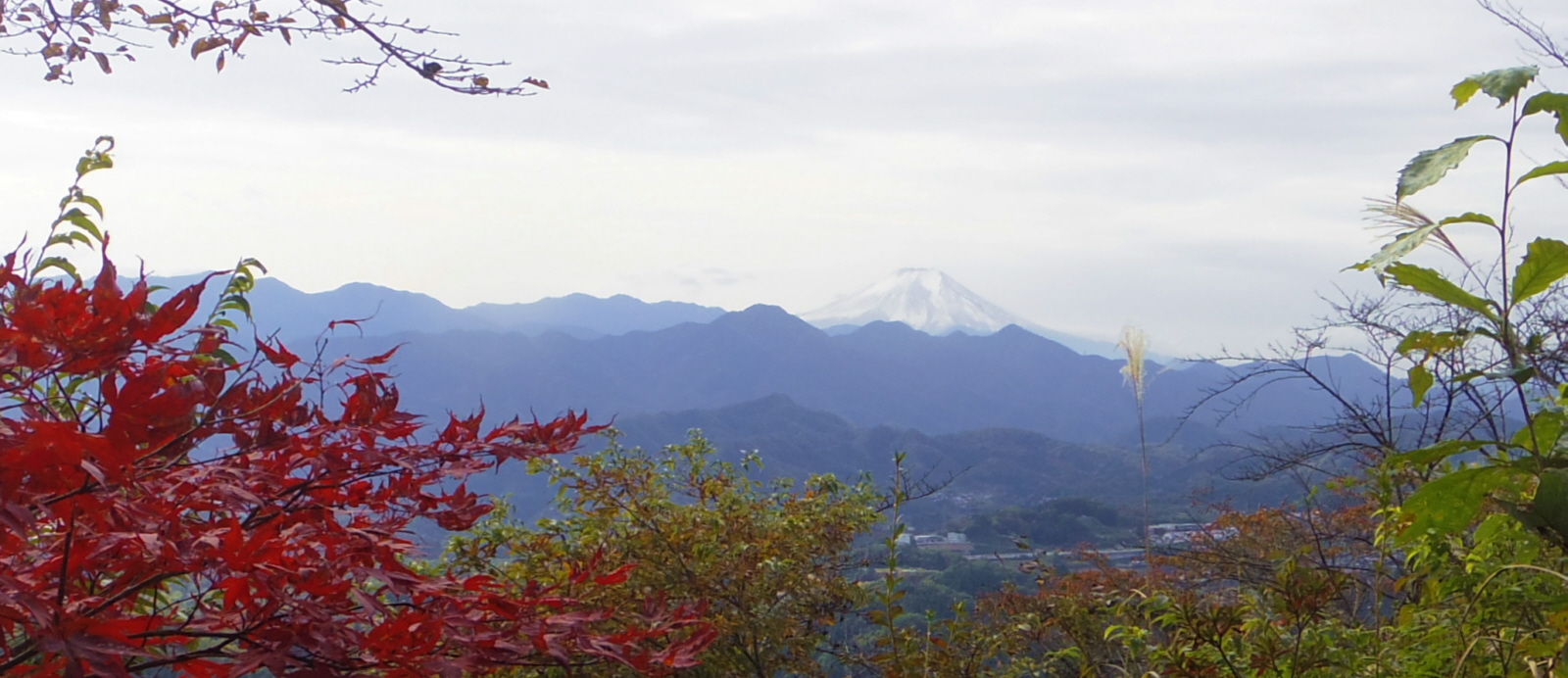 �v�Q�R����̕x�m�R�@