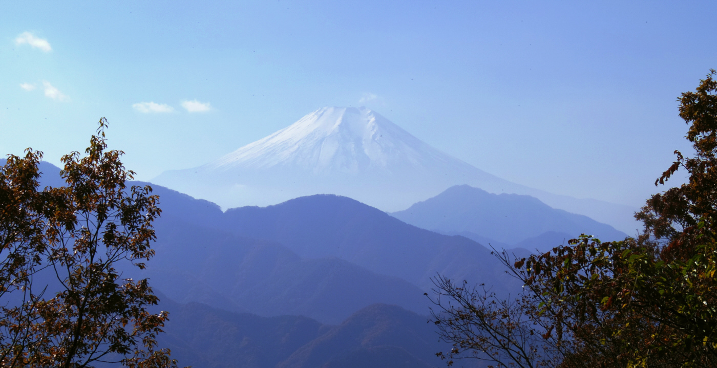 �q�x�R����̕x�m�R�@