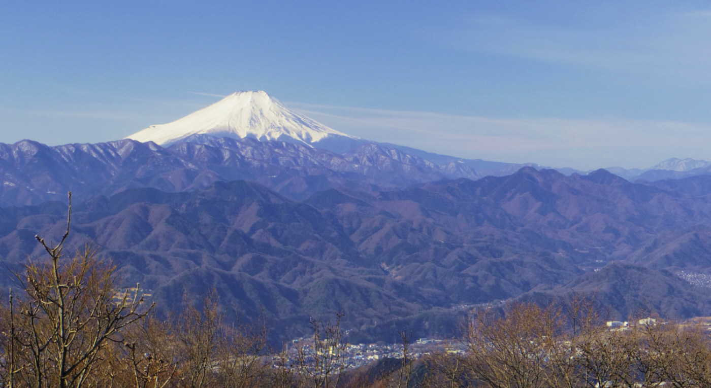 �w�n�R����̕x�m�R�B�E�̂�������������ƐL�΂����I�R����x�m�R�B