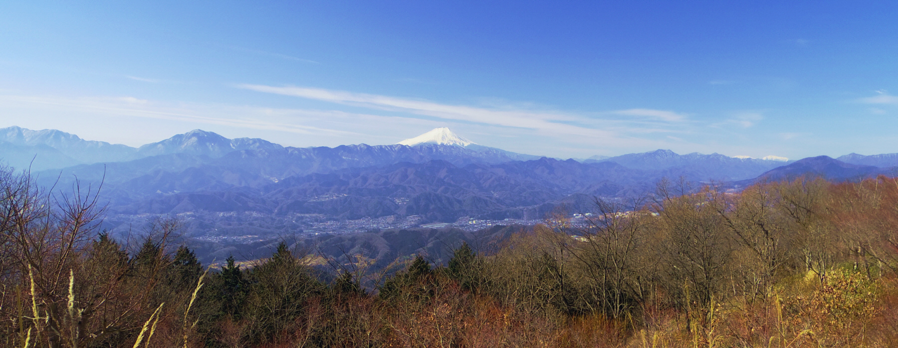 �w�n�R�R�����̓o�R������̕x�m�R