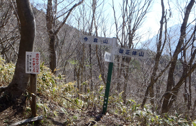 ���q�R�E�䐳�̎R����